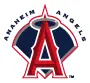 Angels decal