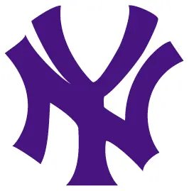 NY Yankees decal