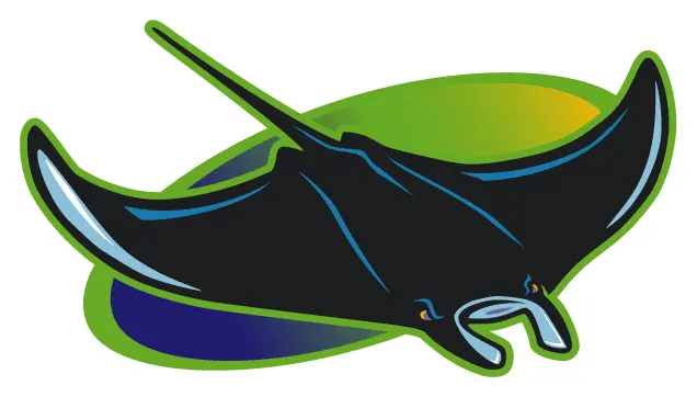 Devil Rays decal