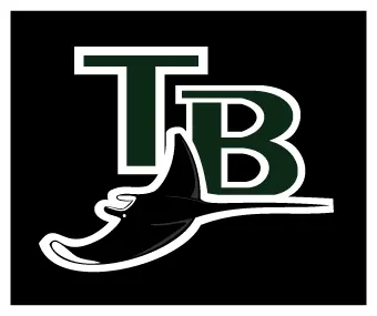 Devil Rays decal