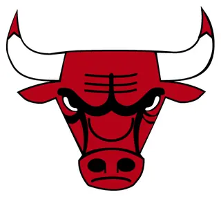 NBA Chicago Bulls decal