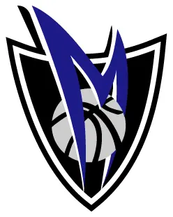 NBA Dallas Mavericks decal