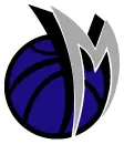 NBA Dallas Mavericks decal