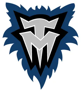 NBA Minnesota Timberwolves decal