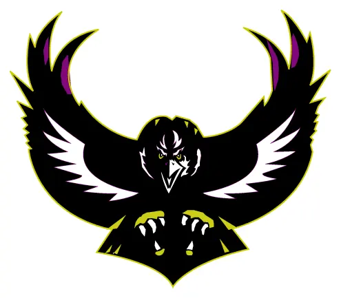Baltimore decal
