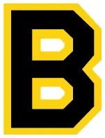 Boston Bruins decal