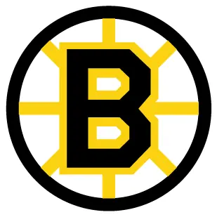 Boston Bruins decal