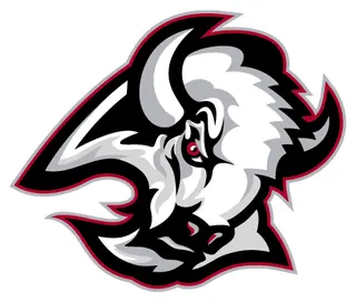 Buffalo Sabers decal