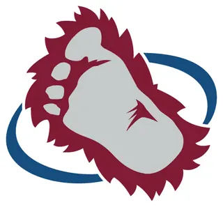 Colorado Avalanche decal