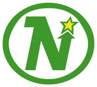 Dallas Stars decal