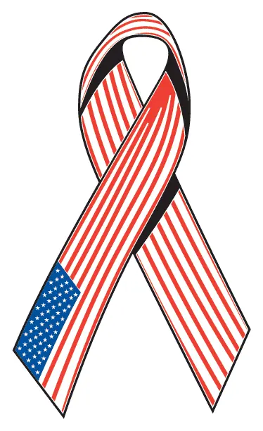 Patriotic 109 decal