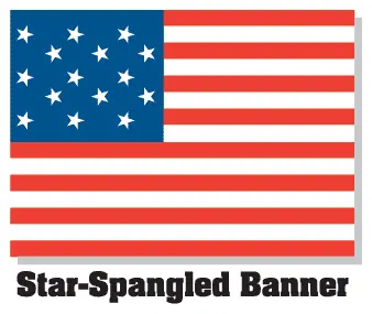 Patriotic 110 decal