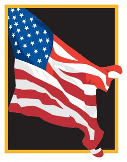Patriotic 120 decal