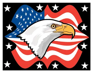 Patriotic 21 decal