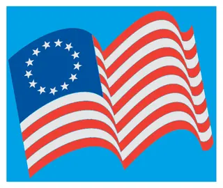 Patriotic 24 decal