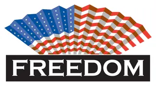 Patriotic 33 decal