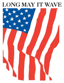 Patriotic 47 decal