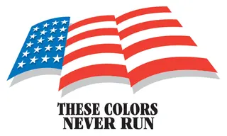 Patriotic 6 decal