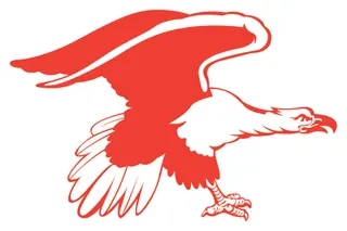 Patriotic 70 decal