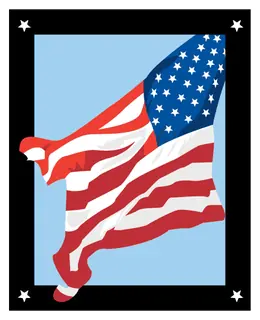 Patriotic 79 decal