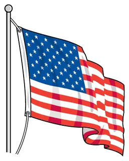 Patriotic 80 decal