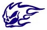 Face decal