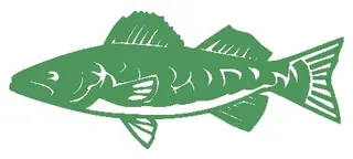 Trout decal