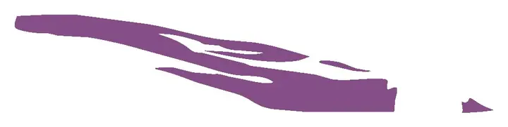 Fast and Furious Integra decal