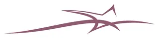 Star decal
