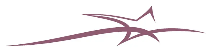 Star decal