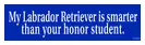 My Labrador Retriever is) decal