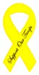 Support Our Troops decal