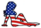 Silhouette Red White Blue Facing Left) decal