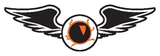 Eye with wings decal