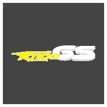 R1100 GS decal